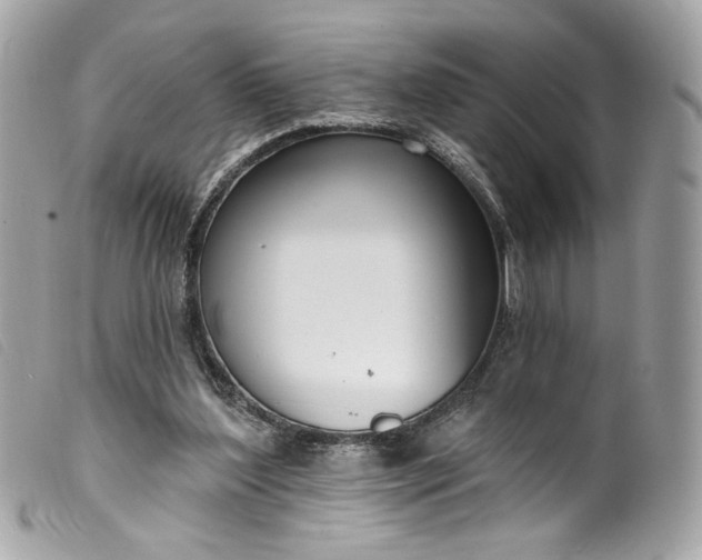 X0000099560204200805301548