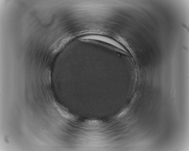 X0000099560205200805301548