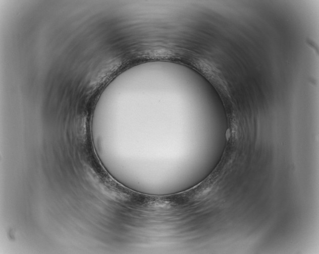 X0000099560206200805301548