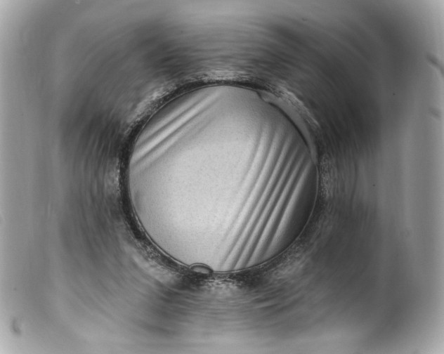 X0000099560207200805301548