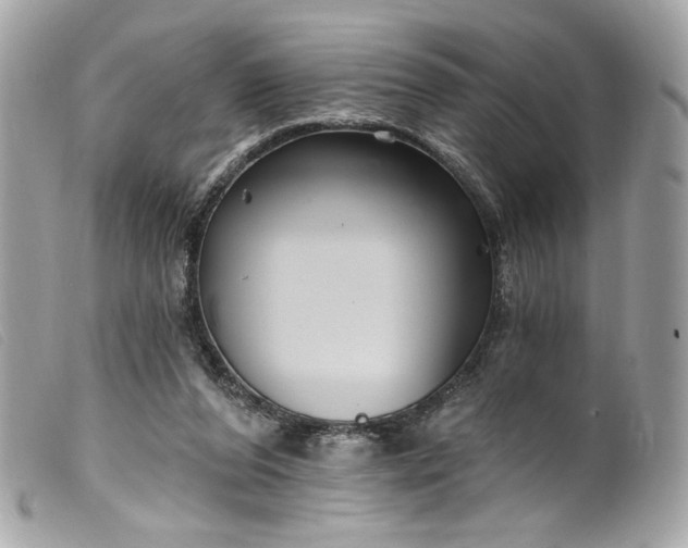 X0000099560208200805301548