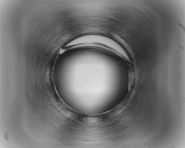 X0000099560209200805301548