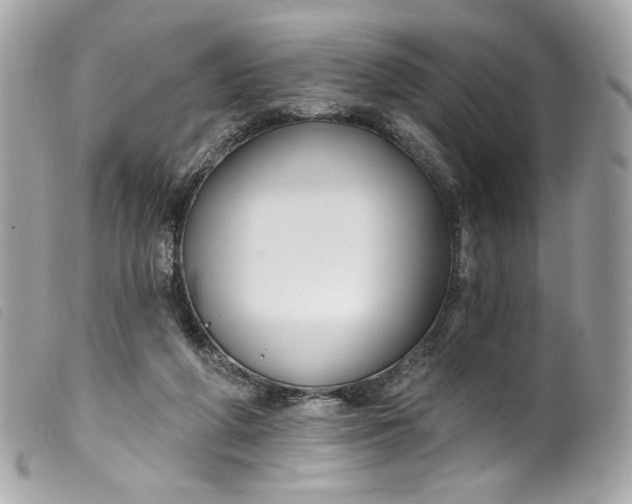 X0000099560210200805301548