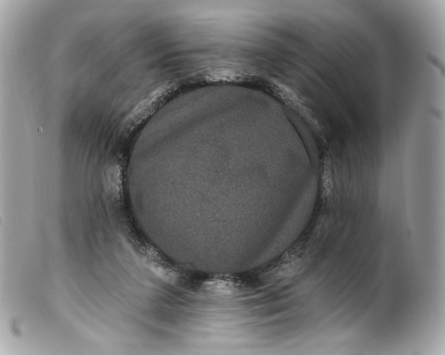 X0000099560211200805301548