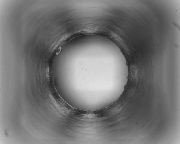 X0000099560212200805301548