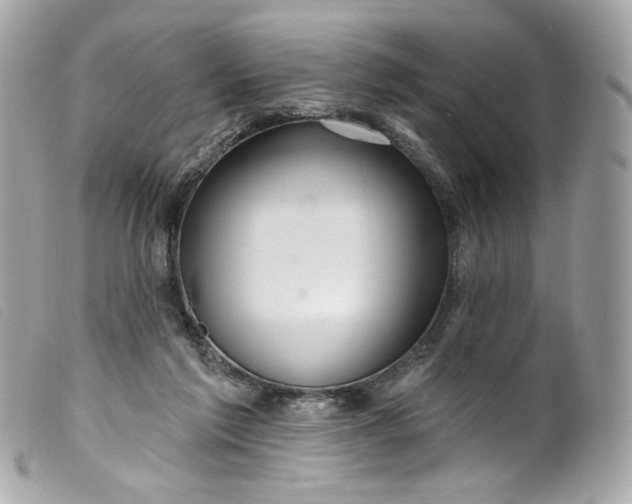 X0000099560213200805301548