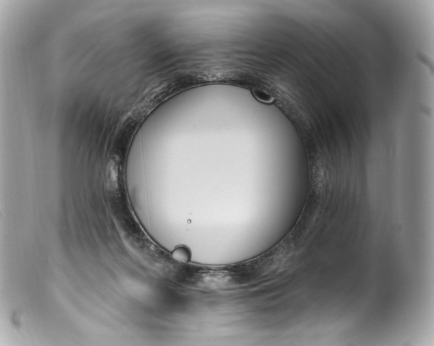 X0000099560214200805301548