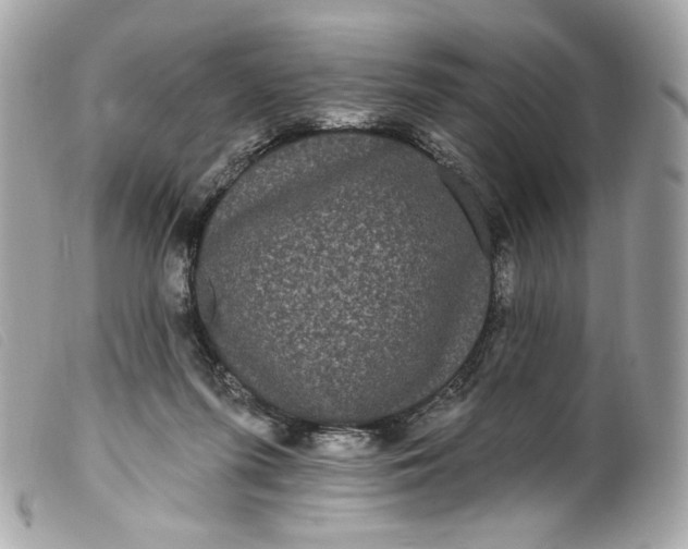 X0000099560215200805301548