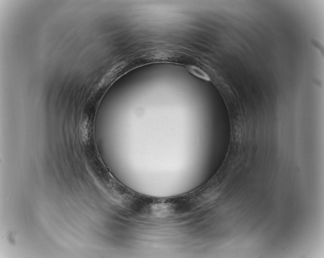 X0000099560216200805301548