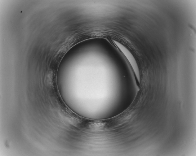 X0000099560217200805301548