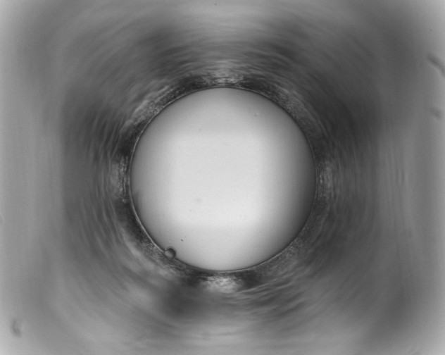 X0000099560218200805301548