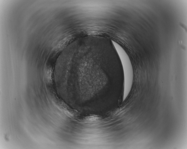 X0000099560219200805301548