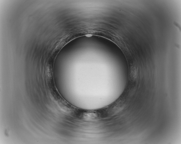 X0000099560220200805301548