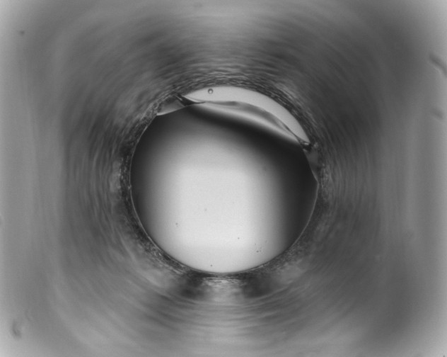 X0000099560221200805301548