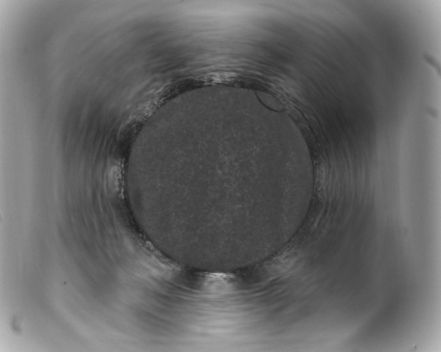 X0000099560222200805301548