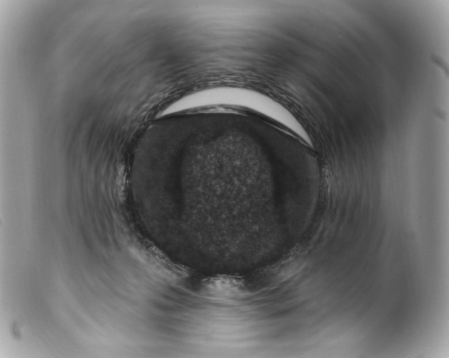 X0000099560223200805301548