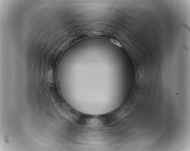 X0000099560224200805301548