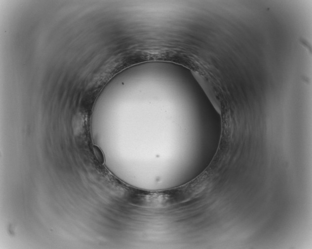 X0000099560225200805301548