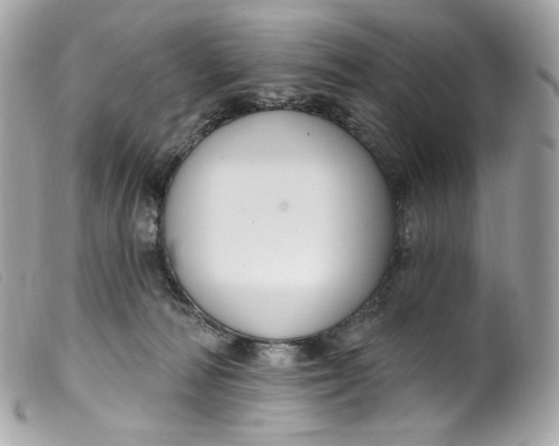 X0000099560226200805301548