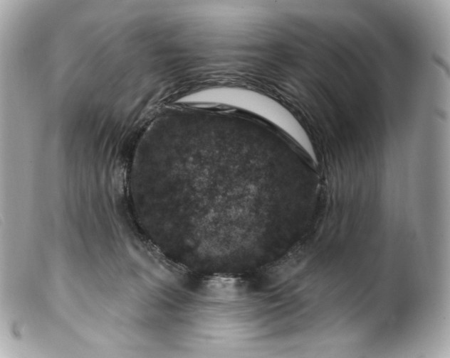 X0000099560227200805301548