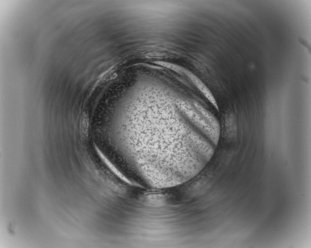 X0000099560228200805301548