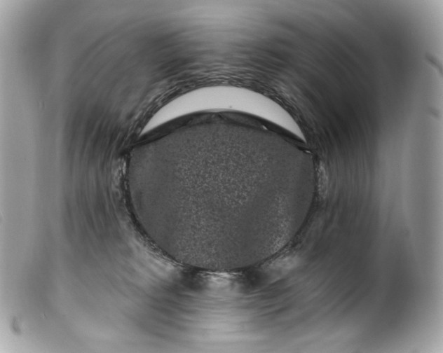 X0000099560229200805301548