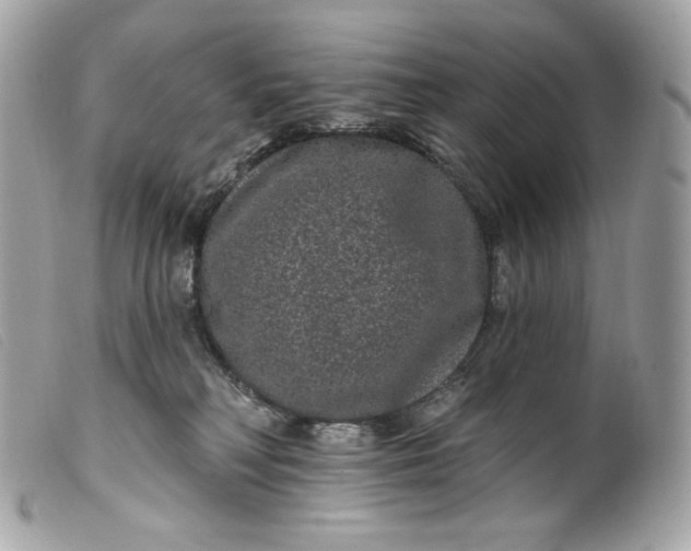 X0000099560230200805301548