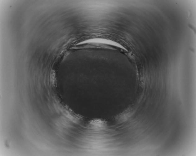 X0000099560231200805301548