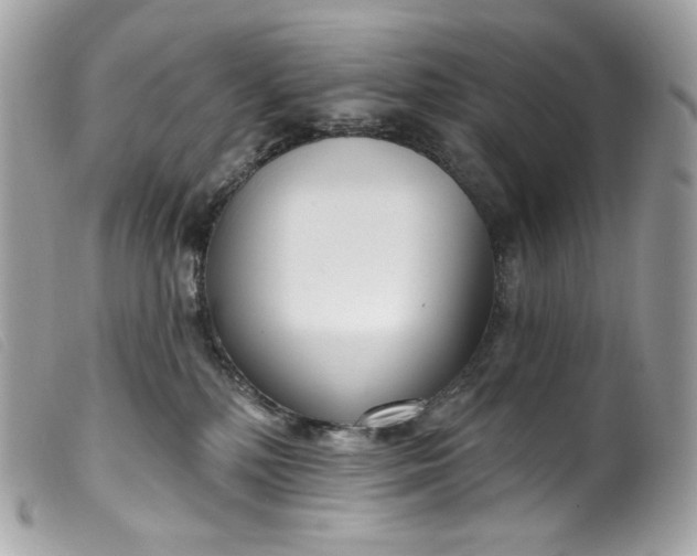 X0000099560232200805301548