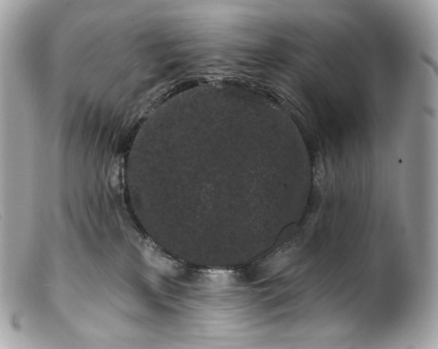 X0000099560233200805301548