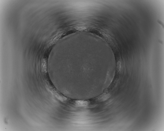 X0000099560234200805301548