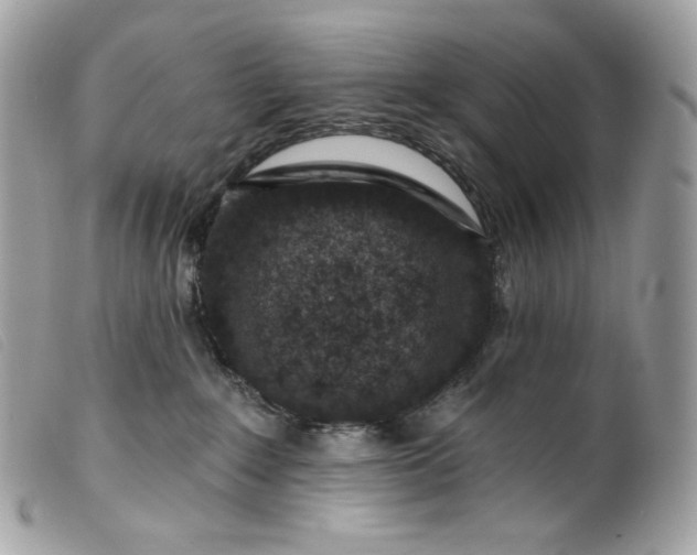 X0000099560235200805301548