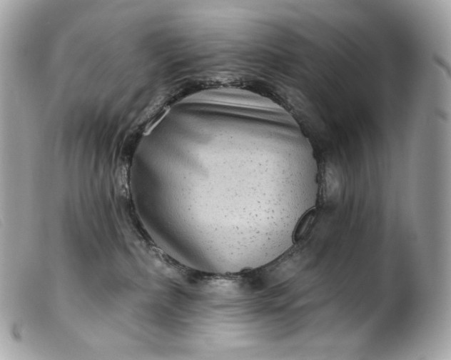 X0000099560236200805301548