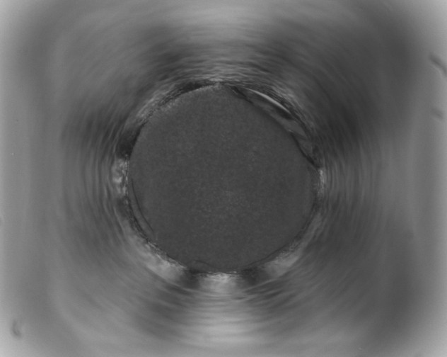 X0000099560237200805301548