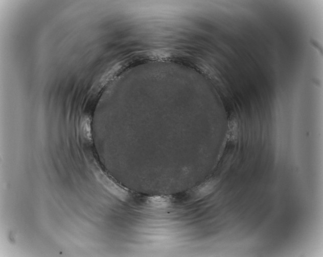 X0000099560238200805301548