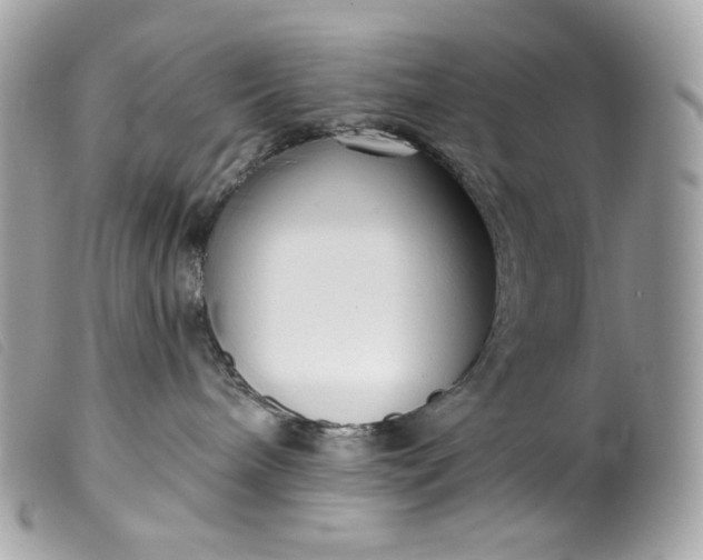 X0000099560240200805301548