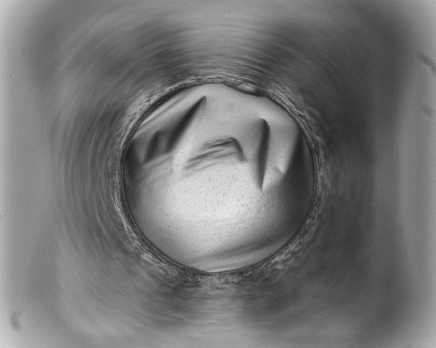 X0000099560241200805301547