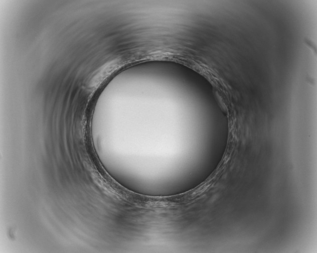 X0000099560242200805301547