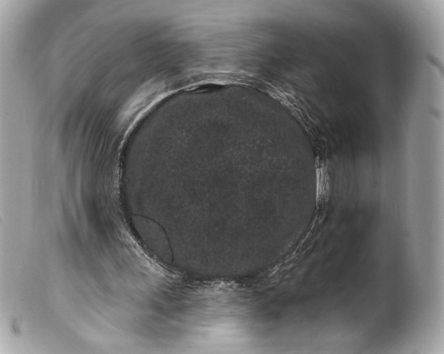 X0000099560243200805301547