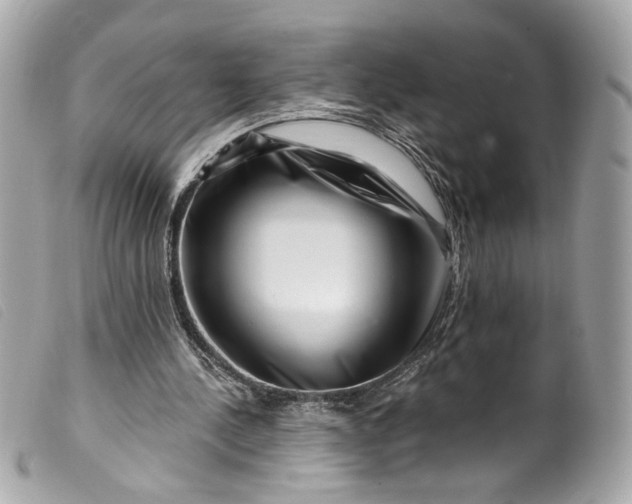 X0000099560244200805301547