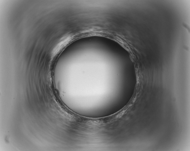 X0000099560245200805301547