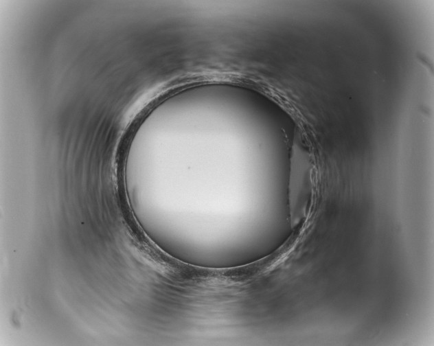 X0000099560246200805301547