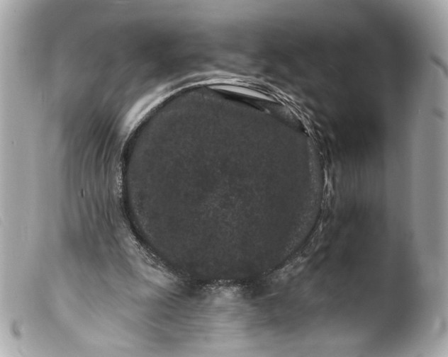 X0000099560247200805301547