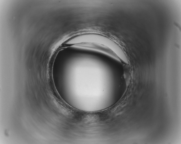 X0000099560248200805301547