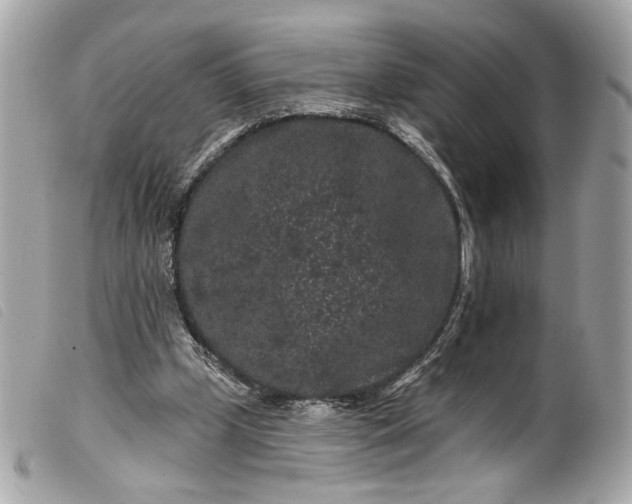 X0000099560249200805301547