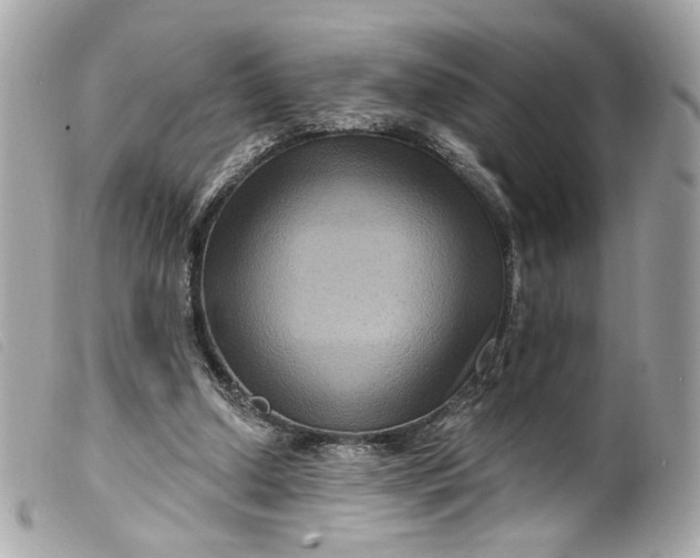 X0000099560250200805301547