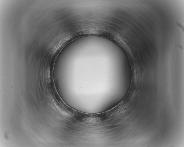 X0000099560251200805301547