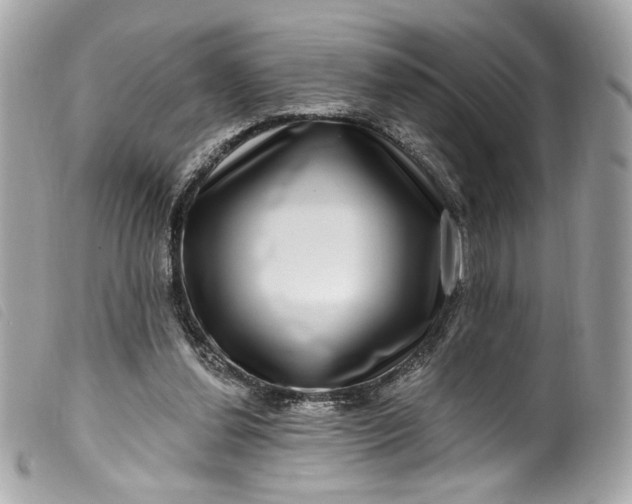 X0000099560252200805301547