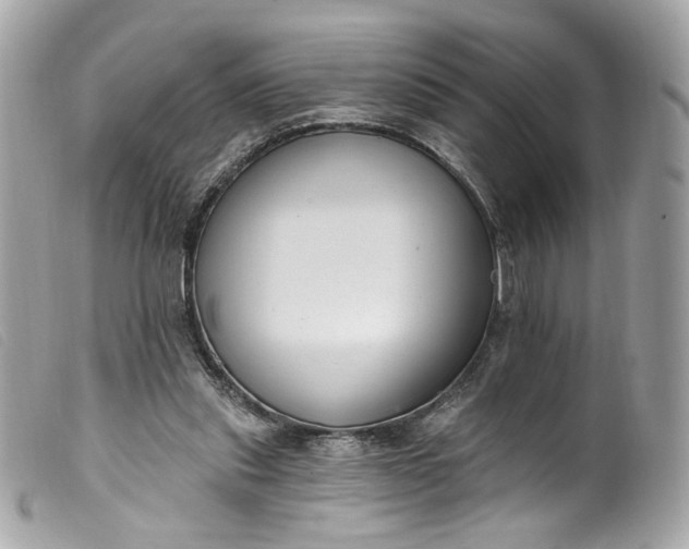 X0000099560253200805301547