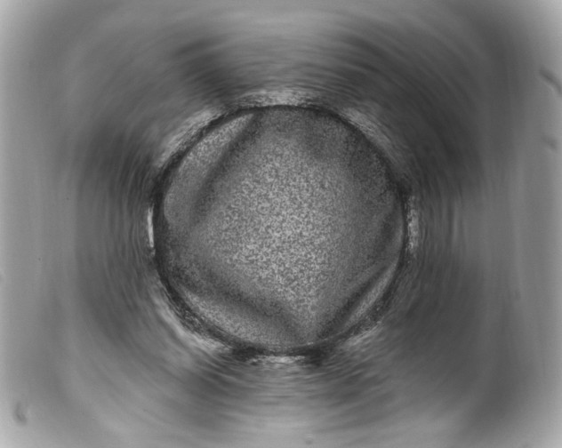 X0000099560254200805301547